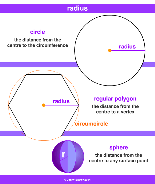 Radius Plural Radii A Maths Dictionary For Kids Quick Reference By 